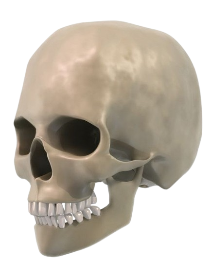Hovering skull